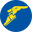 Goodyear Footwear USA